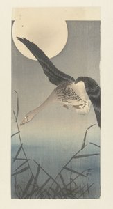 Ganso-de-testa-branca na lua cheia de Ohara Koson