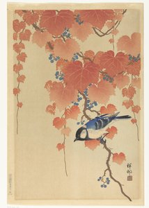 Grande chapim no ramo de paulownia de Ohara Koson