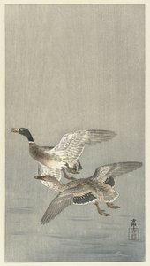 Par de patos de Ohara Koson