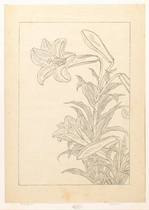 Lelies de Ohara Koson