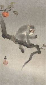 Macaco em uma árvore frutífera, 1900-30 (cor xilogravura)