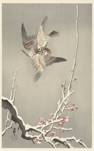 Pardais e árvore de ameixa nevado de Ohara Koson