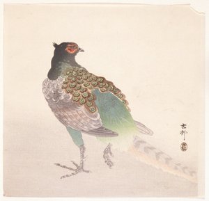 Faisão (impressão em bloco de madeira a cores) de Ohara Koson