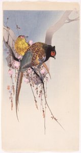 Faisões E Hanging-Cherry (impressão em bloco de madeira a cores) de Ohara Koson