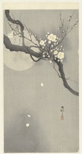 Flor de ameixa e lua cheia de Ohara Koson
