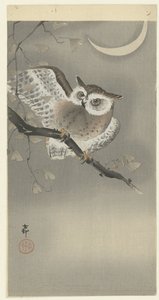 Ransuil em ginkgo de Ohara Koson