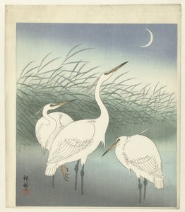 Garças em águas pouco profundas de Ohara Koson