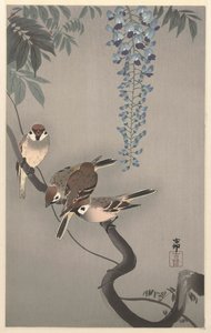 Pardais de anel em glicínias de Ohara Koson