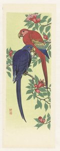 Papagaio vermelho e um papagaio azul de Ohara Koson