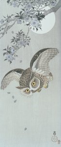 Coruja em vôo com flor e lua cheia (impressão em bloco de madeira colorida) de Ohara Koson