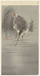 Corte na água de Ohara Koson