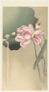 Songbird e Lotus de Ohara Koson