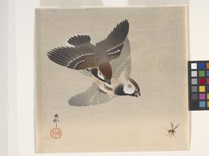 Sparrows Chasing Flying Insect (impressão em bloco de madeira a cores) de Ohara Koson