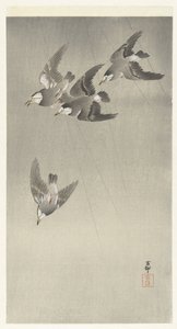 Starling na chuva de Ohara Koson