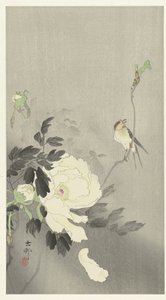 Engole com Peónia de Ohara Koson