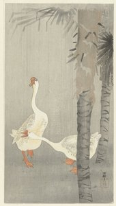 Tamme todo na chuva de Ohara Koson