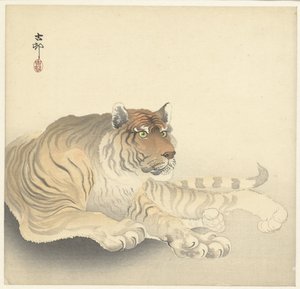 Tigre