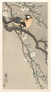 Mamas no ramo de cereja de Ohara Koson