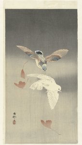 Dois pombos quase a cair folhas de ginkgo de Ohara Koson