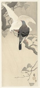 Dois pombos em um galho de Ohara Koson