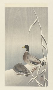 Dois patos em cobertura de cana com neve de Ohara Koson