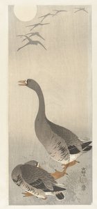 Dois inteiros de Ohara Koson