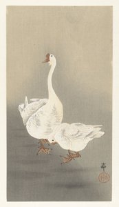 Dois inteiros de Ohara Koson