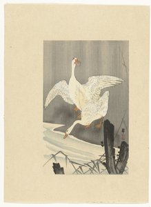 Dois gansos por um rio de Ohara Koson