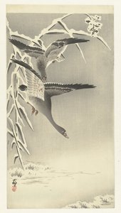 Dois gansos de peito branco em uma paisagem de neve de Ohara Koson