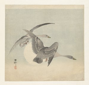 Dois gansos de peito branco em voo de Ohara Koson