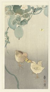Dois pintos a lutar por causa de uma borboleta de Ohara Koson
