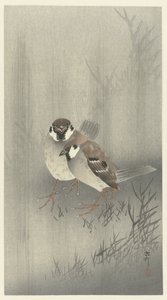 Dois pardais na chuva de Ohara Koson