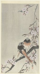 Duas caudas vermelhas espelhadas com flores de cerejeira de Ohara Koson