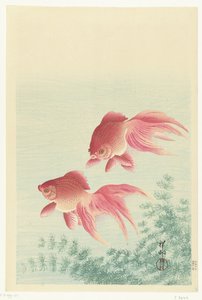 Peixe dourado de cauda de dois véus de Ohara Koson