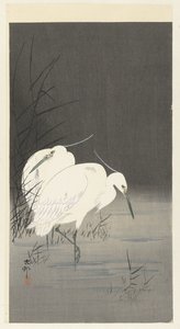 Duas garças nos juncos de Ohara Koson