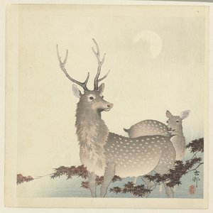 Dois cervos de Ohara Koson
