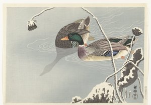 Dois Mallards perto de um Lotus coberto de neve de Ohara Koson
