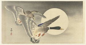 Dois patos com lua cheia de Ohara Koson