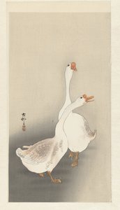 Dois gansos de Ohara Koson