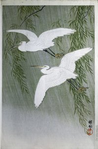 Duas garças voando livre, 1907 (cor xilogravura) de Ohara Koson