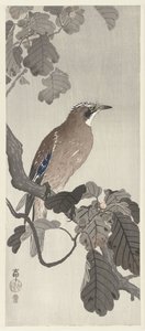 Gaio flamengo no galho de árvore de Ohara Koson
