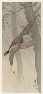 Faisão voador de Ohara Koson