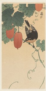 Pássaro e caqui de Ohara Koson