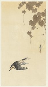 Pássaro em voo descendente de Ohara Koson