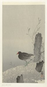 Waterhoen de Ohara Koson