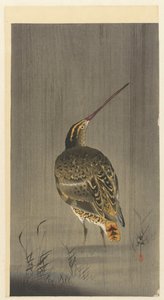 Snipe na chuva de Ohara Koson