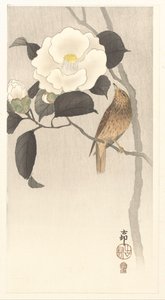Camélia da canção e da floração de Ohara Koson