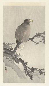 Águia careca no galho de Ohara Koson
