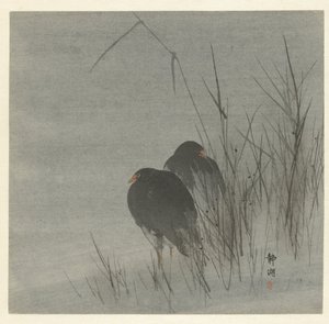 Dois galeirões entre palhetas de Okuhara Seiko