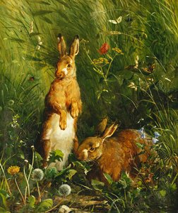 Hares, 1878 de Olaf August Hermansen
